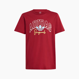 Adidas Collegiate Graphic Kid Unisex T-shirt (7-16 Years) -Collegiate Burgundy