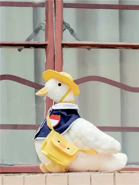 Lovely costume duck toy